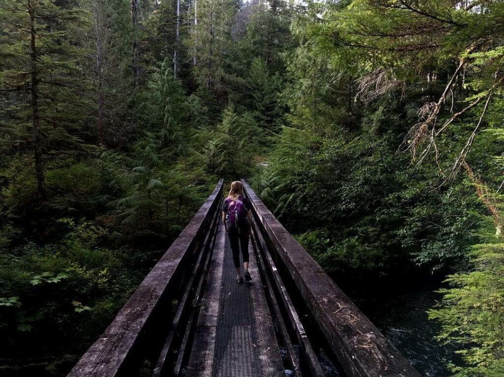 Rainforest Hike Woman crossing wood bridge on a rainforest trail